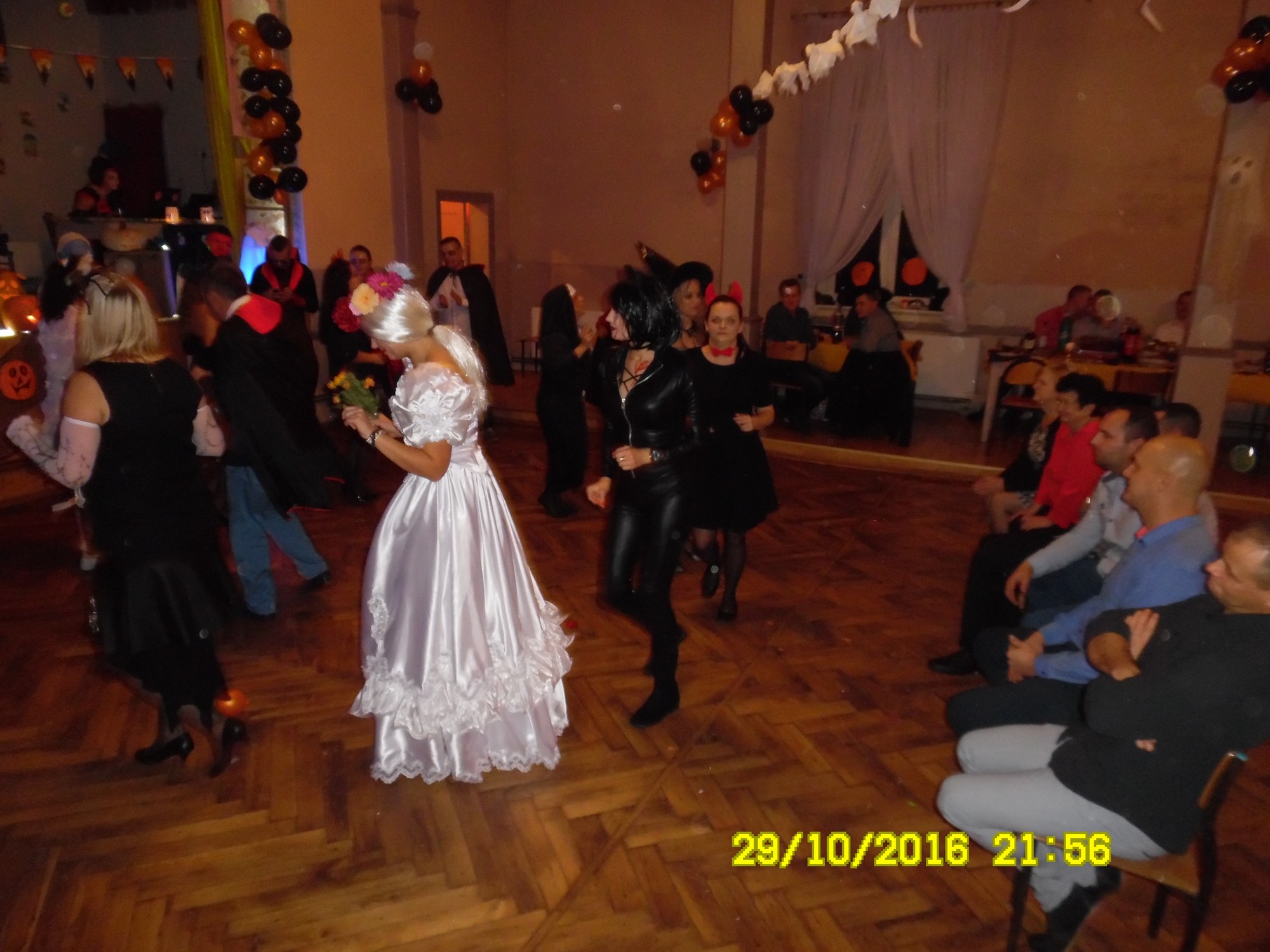 SAM_2729