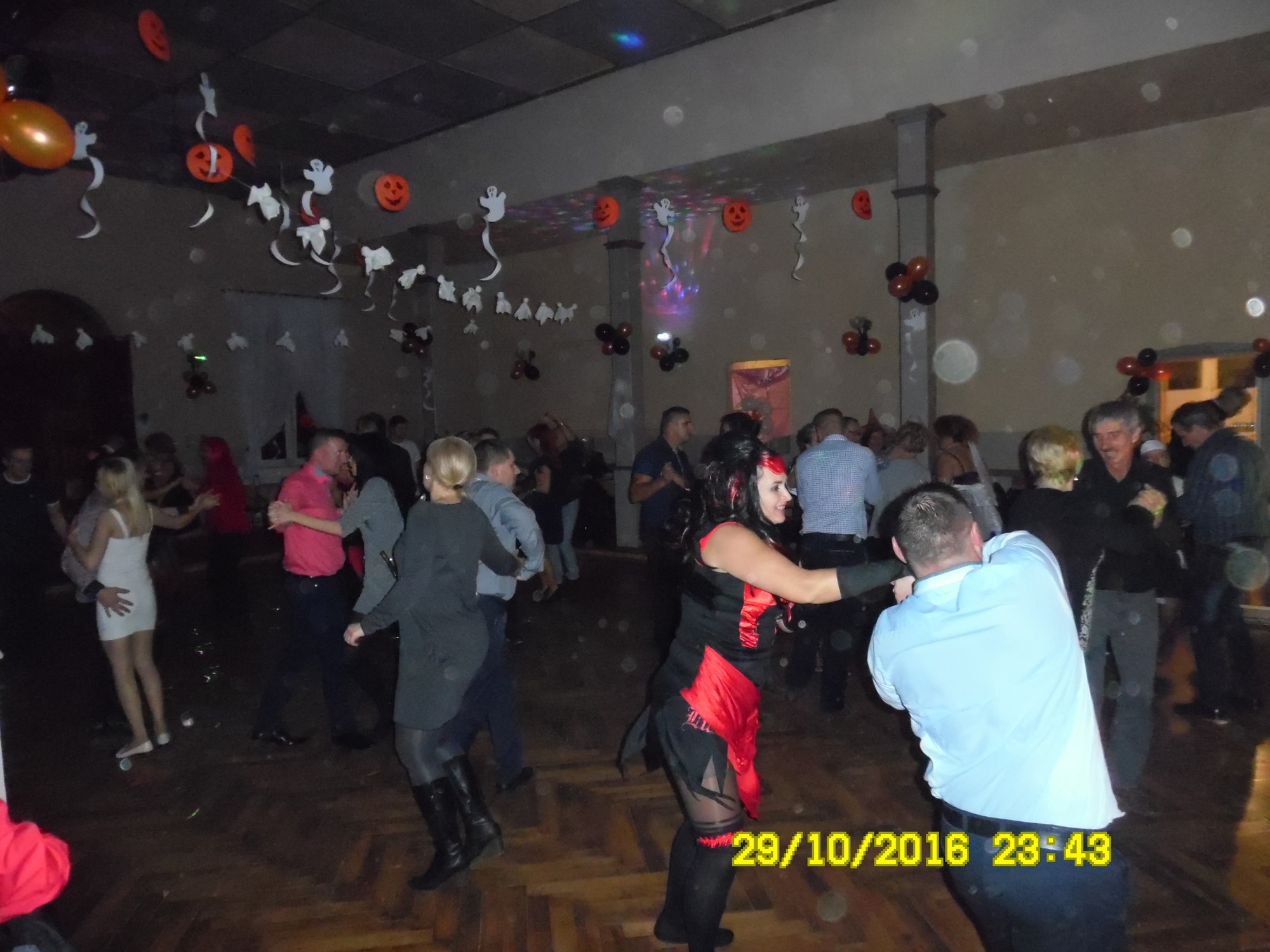 SAM_2811
